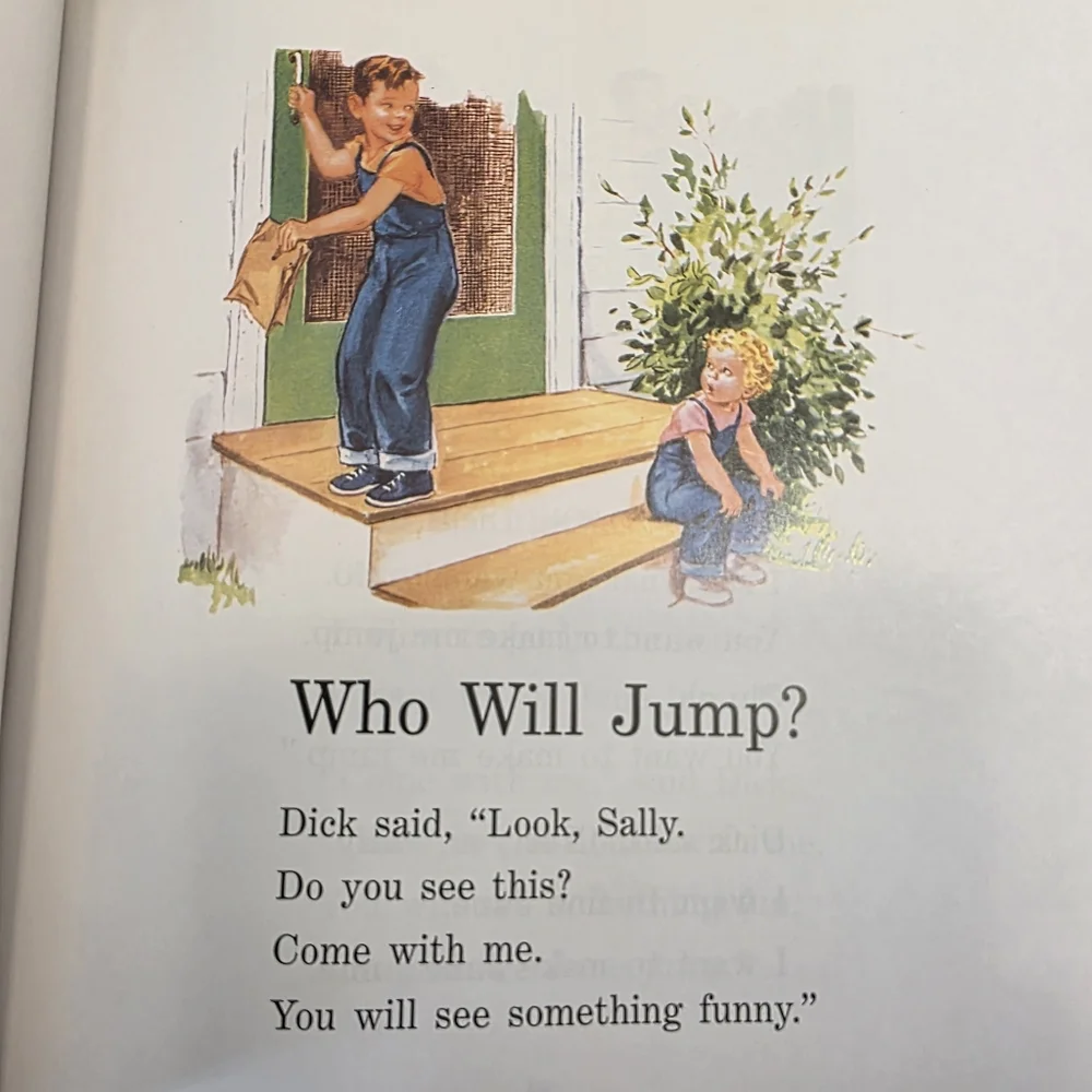 The World of Dick and Jane And Friends Book NWOT